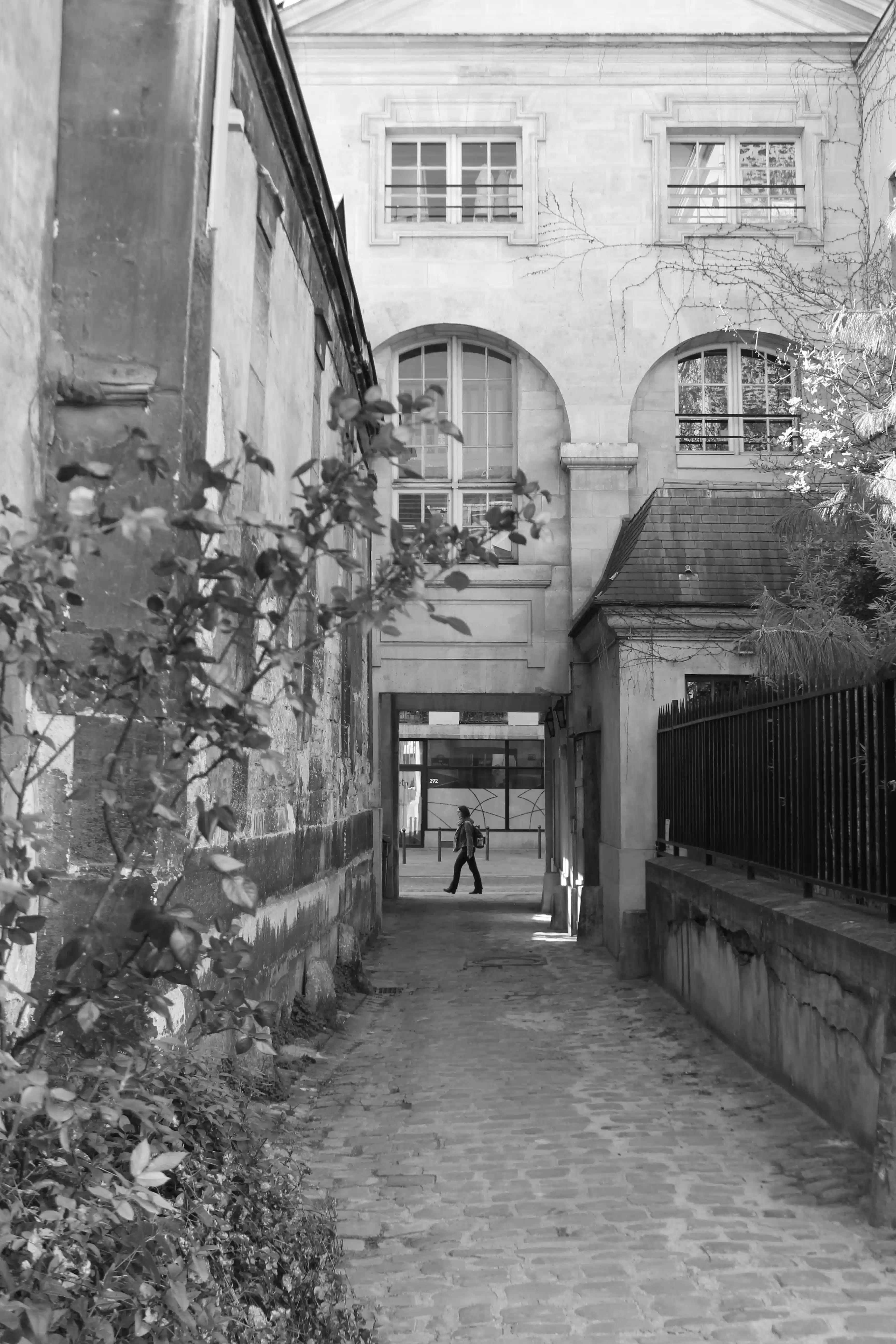 ruelle2